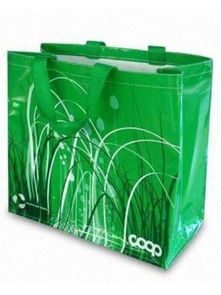 無(wú)紡布袋價(jià)格與供應(yīng)商解析 以雄縣泰祥無(wú)紡布包裝制品廠(chǎng)為例